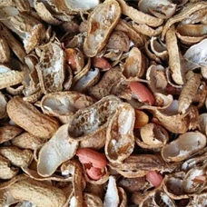 GROUND NUT FUEL ESBEE